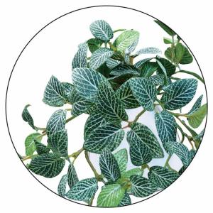 フェイクグリーン 消臭 観葉植物 フェイク 人...の詳細画像1