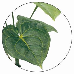 フェイクグリーン 消臭 観葉植物 フェイク 人...の詳細画像2