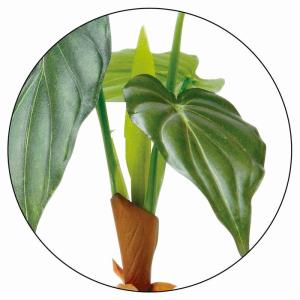 フェイクグリーン 消臭 観葉植物 フェイク 人...の詳細画像2