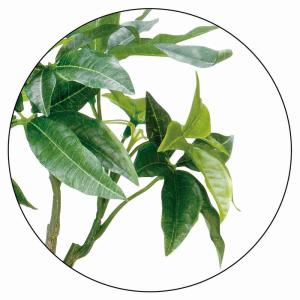 フェイクグリーン 消臭 観葉植物 フェイク 人...の詳細画像2