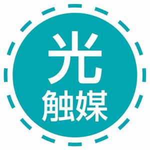 フェイクグリーン 消臭 観葉植物 フェイク 人...の詳細画像3