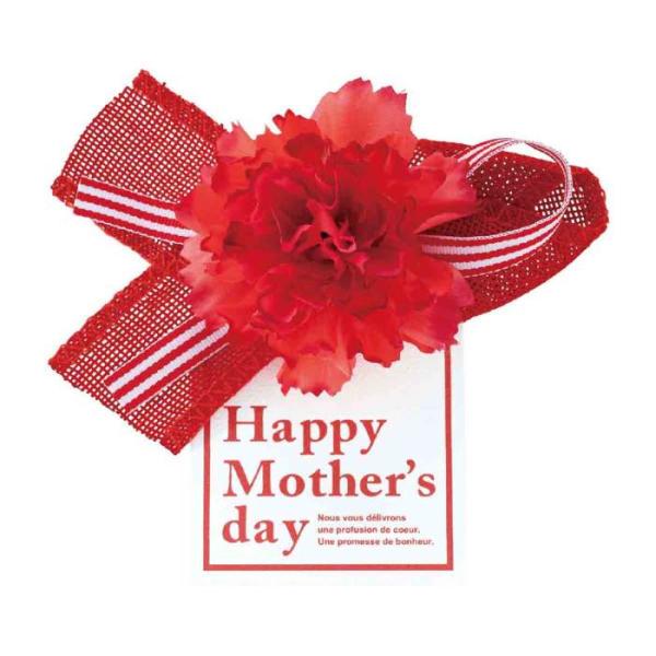 【10個入り】母の日フルリールクリップ _53-52-2-1_8226-80