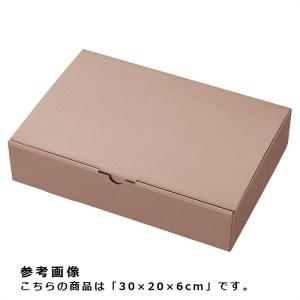 ラッピング 箱 ギフトボックス ギフト_【10枚入り】ギフトボックス シャンパンピンクゴールド 22×14×5cm_33-52-10-2_36085-1244｜store-express