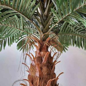 フェイクグリーン 大型 観葉植物 フェイク 人...の詳細画像2