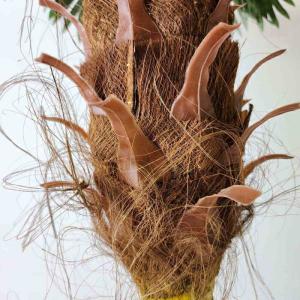 フェイクグリーン 大型 観葉植物 フェイク 人...の詳細画像3