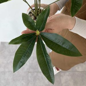 フェイクグリーン 観葉植物 フェイク 人工観葉...の詳細画像5