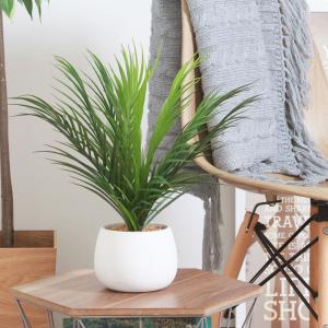 フェイクグリーン 観葉植物 フェイク 人工観葉...の詳細画像2