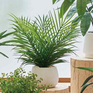 フェイクグリーン 観葉植物 フェイク 人工観葉...の詳細画像3