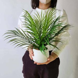 フェイクグリーン 観葉植物 フェイク 人工観葉...の詳細画像4