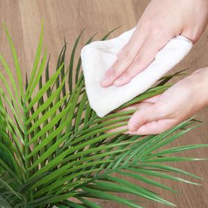 フェイクグリーン 観葉植物 フェイク 人工観葉...の詳細画像5
