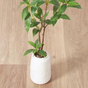 フェイクグリーン 観葉植物 フェイク 人工観葉...の詳細画像2