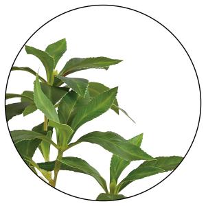 フェイクグリーン 観葉植物 フェイク 人工観葉...の詳細画像4