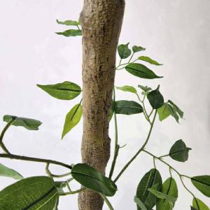フェイクグリーン 観葉植物 フェイク 人工観葉...の詳細画像5