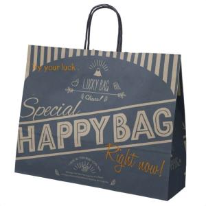 ストア・エキスプレス ラッピング 袋 紙袋 手提げ_【50枚入り】福袋