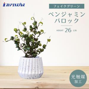 ストア・エキスプレス フェイクグリーン 観葉植物 フェイク 人工観葉