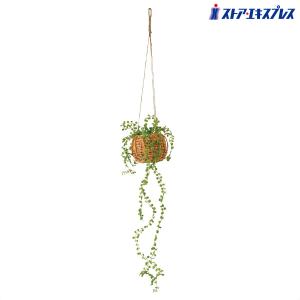 ストア・エキスプレス フェイクグリーン 観葉植物 フェイク 人工観葉