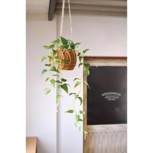 フェイクグリーン 観葉植物 フェイク 人工観葉...の詳細画像1
