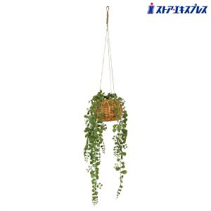 ストア・エキスプレス フェイクグリーン 観葉植物 フェイク 人工観葉