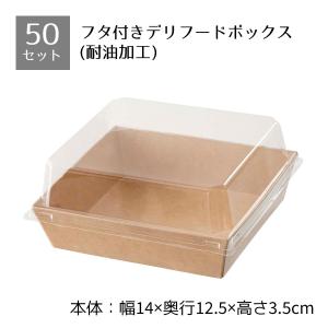 テイクアウト容器 取っ手付ランチボックス デリメイトTK125 カンゴウ