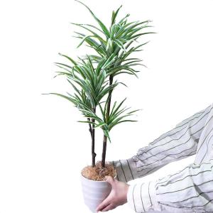 フェイクグリーン 観葉植物 フェイク 人工観葉...の詳細画像1