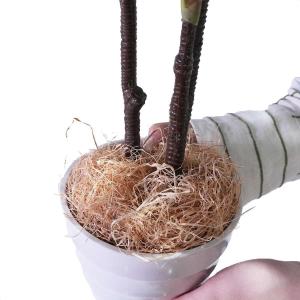 フェイクグリーン 観葉植物 フェイク 人工観葉...の詳細画像3