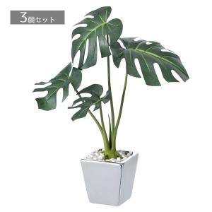 ストア・エキスプレス フェイクグリーン 観葉植物 フェイク 人工観葉