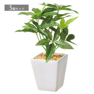 ストア・エキスプレス フェイクグリーン 観葉植物 フェイク 人工観葉