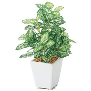 光触媒 人工観葉植物 インテリアグリーン フィットニア MR : しれとこ