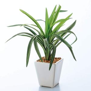 光触媒　人工観葉植物　ウォールグリーン　フェイクグリーン　フィットニアM 光触媒 人工観葉植物 インテリアグリーン フィットニア MR : しれとこ
