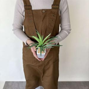 フェイクグリーン 観葉植物 フェイク 人工観葉...の詳細画像1