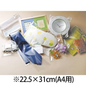 【100枚入り】透明袋 22.5×31cm A4_61-800-94-56_36135-4605｜ストア・エキスプレス-業務用店舗什器