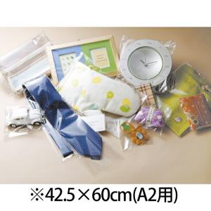 【50枚入り】透明袋 42.5×60cm A2_61-800-94-72_36135-7241｜ストア・エキスプレス-業務用店舗什器