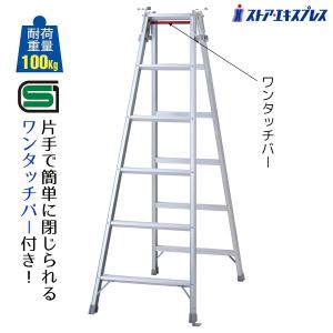 長谷川工業 アルミ製軽量 はしご兼用脚立 6段 6尺 RC-18c RClight 梯子