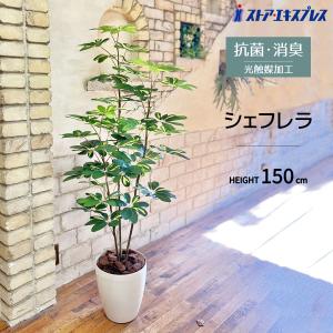 ストア・エキスプレス フェイクグリーン 大型 観葉植物 フェイク 人工