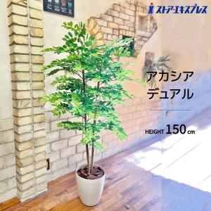 ストア・エキスプレス フェイクグリーン 観葉植物 フェイク 人工観葉
