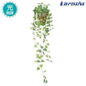 ストア・エキスプレス フェイクグリーン 観葉植物 フェイク 人工観葉