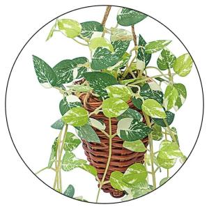 フェイクグリーン 観葉植物 フェイク 人工観葉...の詳細画像1