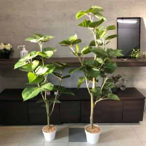 フェイクグリーン 観葉植物 フェイク 人工観葉...の詳細画像1