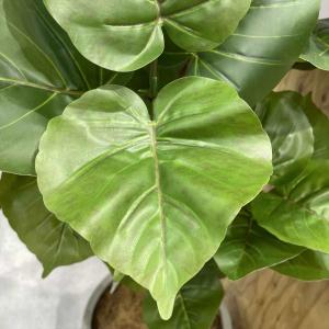 フェイクグリーン 観葉植物 フェイク 人工観葉...の詳細画像2