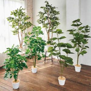 フェイクグリーン 観葉植物 フェイク 人工観葉...の詳細画像3