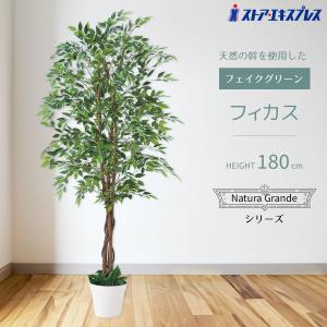 フェイクグリーン 大型 おしゃれ 人工観葉植物_【天然木使用】フィカス 高さ180cm 1台_61-838-39-1_8724-3146