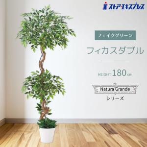 フェイクグリーン 大型 おしゃれ 人工観葉植物_フィカスダブル 高さ180cm 1台_61-838-40-1_8724-3148