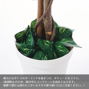フェイクグリーン 観葉植物 フェイク 人工観葉...の詳細画像4