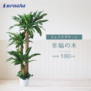 ニトリ フェイクグリーン トラベラーズパーム Amazon｜ニトリ(NITORI) フェイクグリーン トラベラーズパーム