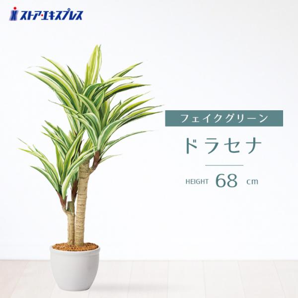 フェイクグリーン 観葉植物 フェイク 人工観葉植物_ドラセナ 人工樹木 H68cm 1台_7D-20...