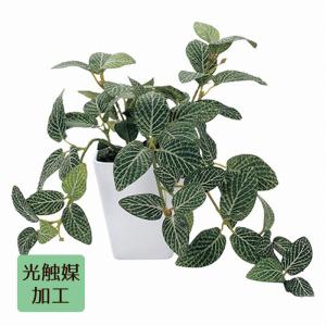光触媒　人工観葉植物　抗菌消臭　ウォールグリーン　カクタス　サボテン7826 光触媒 人工観葉植物 抗菌消臭 造花 ウォールグリーン カクタス
