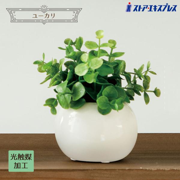 フェイクグリーン 観葉植物 フェイク 人工観葉植物_ラウンドポット 光触媒加工 ユーカリ 1個_61...