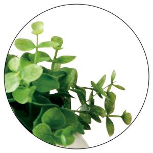 フェイクグリーン 観葉植物 フェイク 人工観葉...の詳細画像1