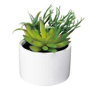 フェイクグリーン 観葉植物 フェイク 人工観葉植...の商品画像