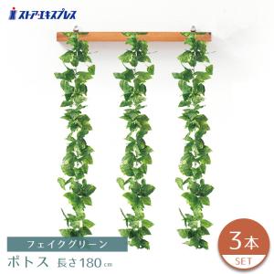 ストア・エキスプレス フェイクグリーン 観葉植物 フェイク 人工観葉